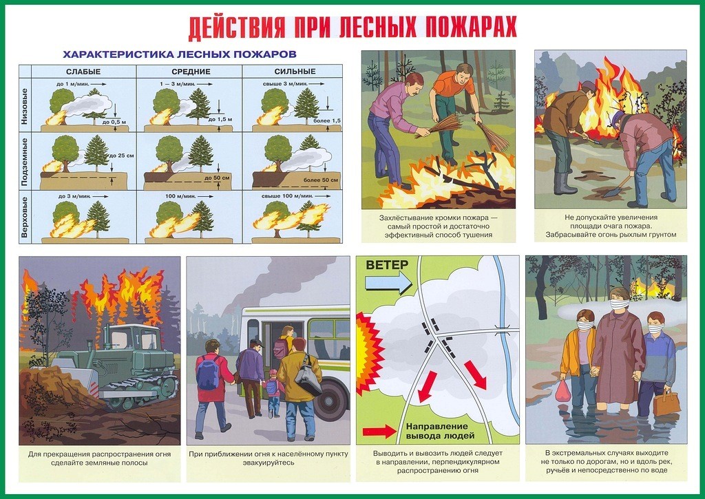 Как действовать при природном пожаре.