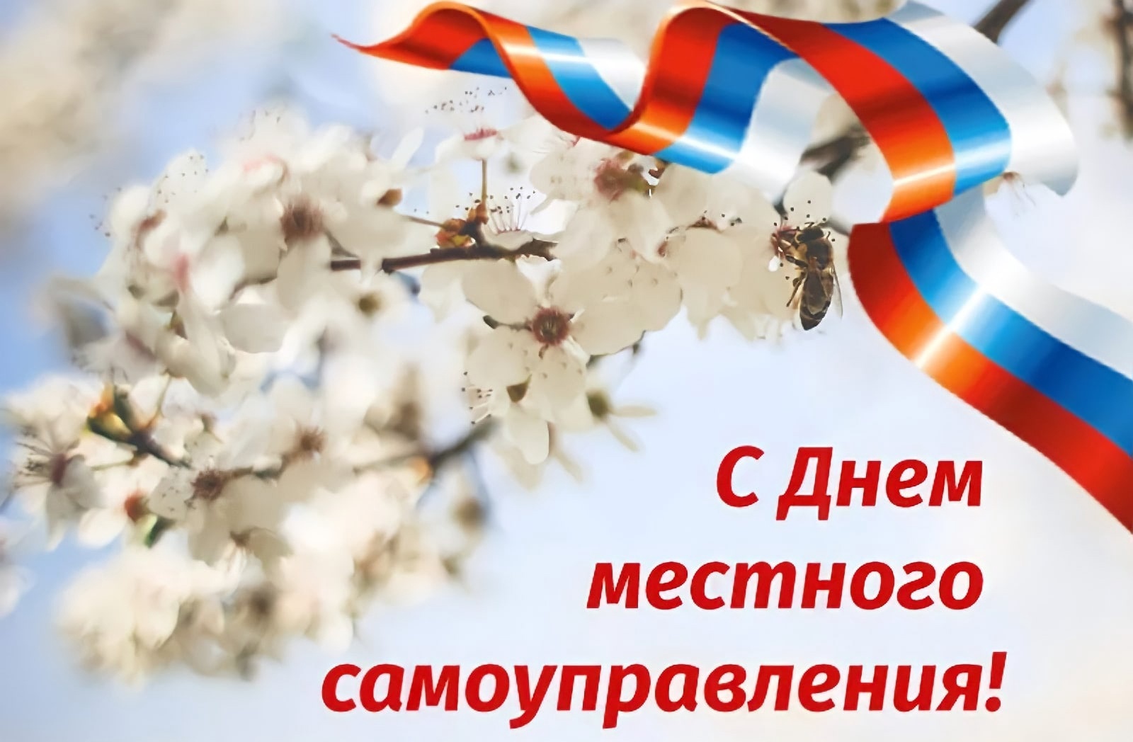 День местного самоуправления.