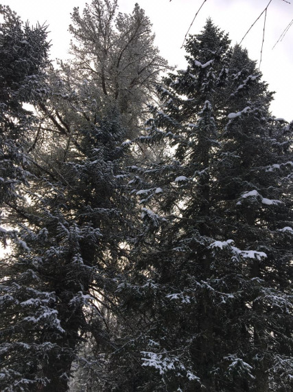 Доброе утро понедельника. Доброе утро понедельника.